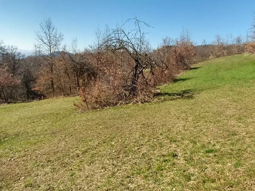 Immagine 17 di Rustico / casale in vendita  a Zocca