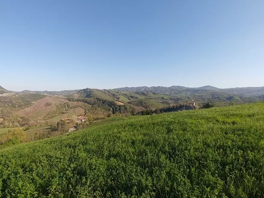 Immagine 7 di Terreno agricolo in vendita  in Via Castello 45 a Monte San Pietro