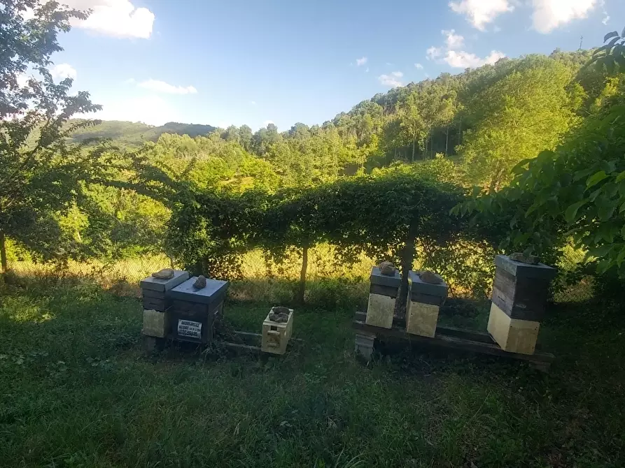 Immagine 42 di Rustico / casale in vendita  in via Canobbi 14 a Castel D'aiano