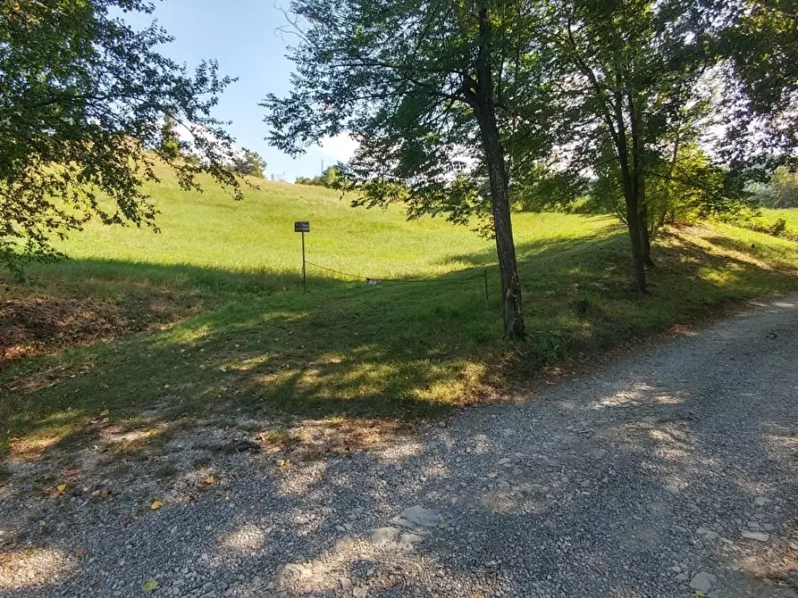 Immagine 20 di Rustico / casale in vendita  in via buzzeda a Guiglia