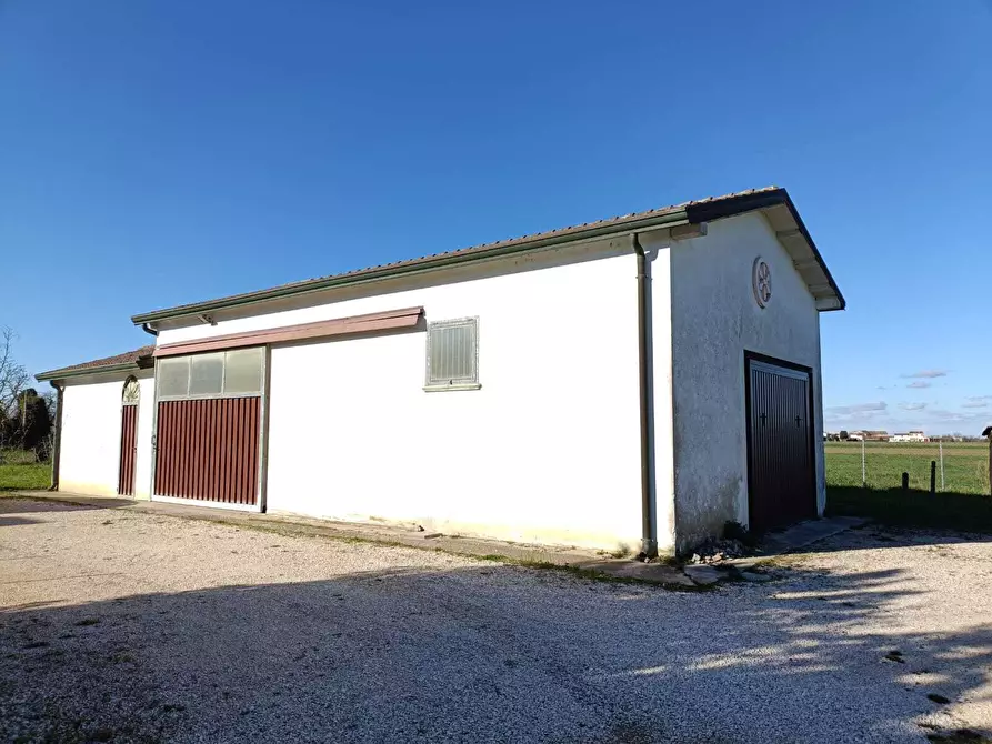 Immagine 4 di Casa indipendente in vendita  a Villanova Marchesana