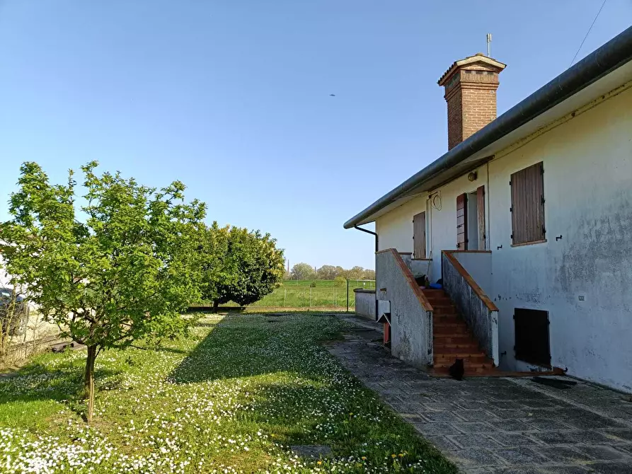 Immagine 5 di Casa indipendente in vendita  a Villanova Marchesana