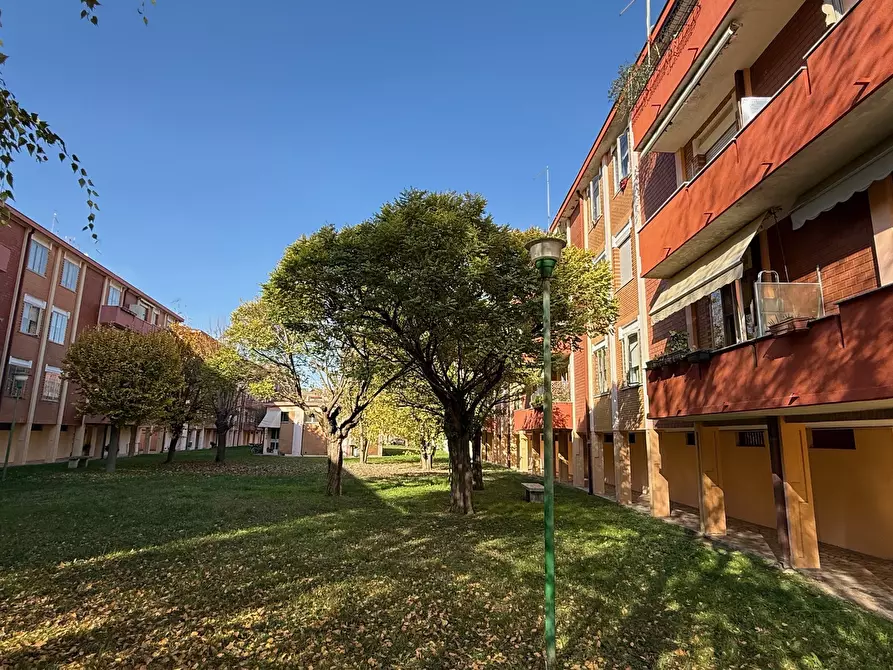 Immagine 2 di Quadrilocale in vendita  a Rovigo