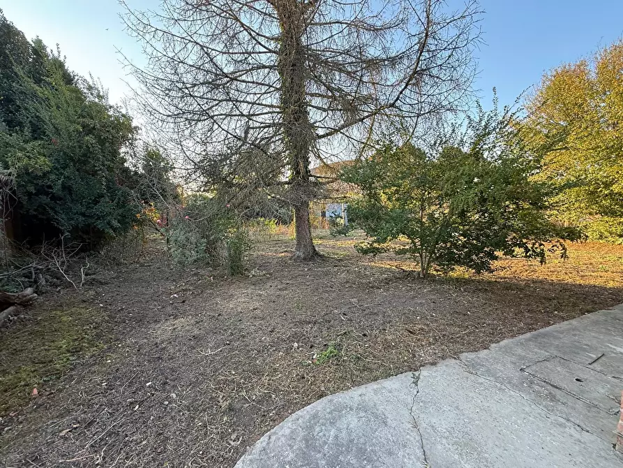 Immagine 4 di Villetta a schiera in vendita  a Costa Di Rovigo