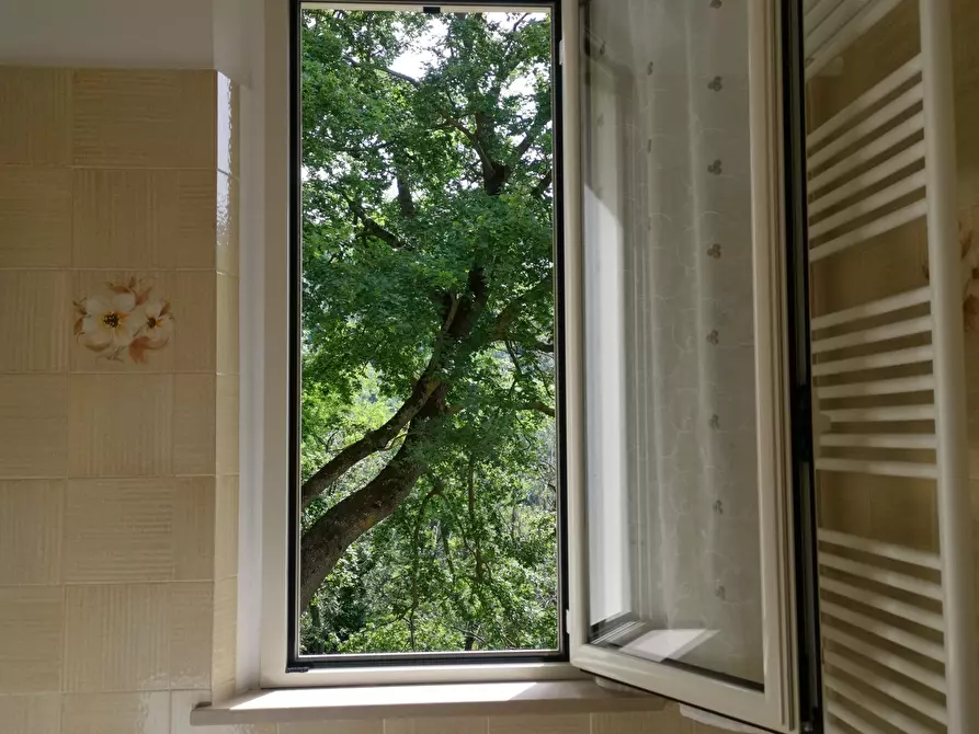 Immagine 24 di Casa indipendente in vendita  in Via XXIV Maggio 140 a Pennabilli