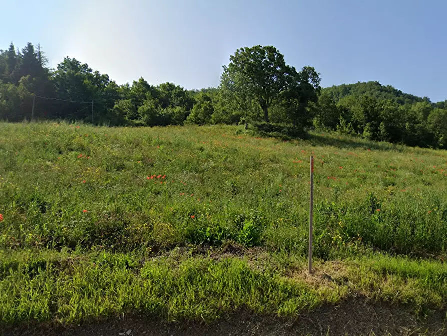 Immagine 1 di Terreno agricolo in vendita  in Via Ca' di Gallo 86 a Maiolo
