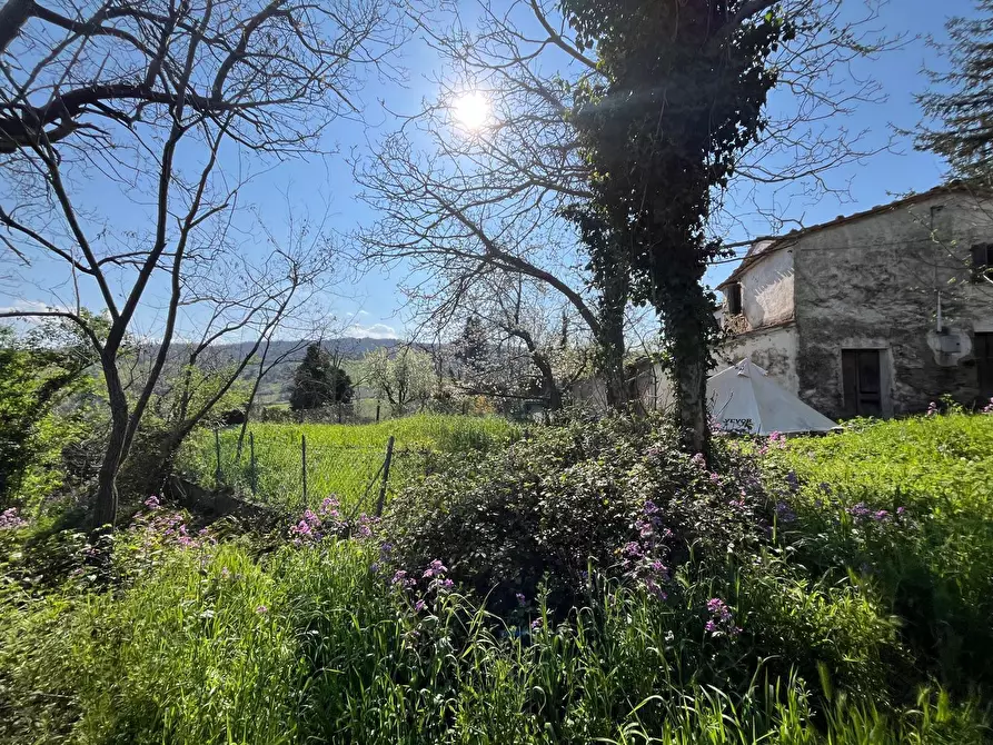 Immagine 4 di Casa indipendente in vendita  in Via Sarsinate 28 a Talamello