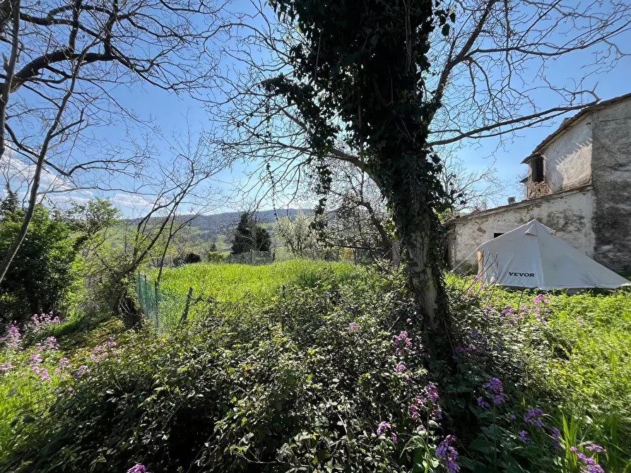 Immagine 5 di Casa indipendente in vendita  in Via Sarsinate 28 a Talamello