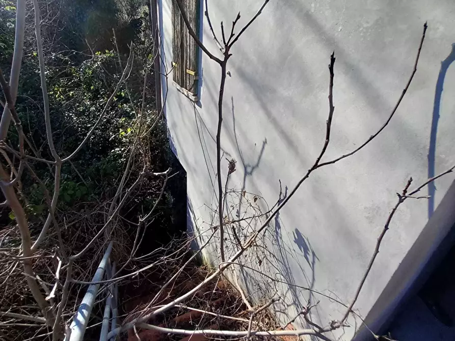 Immagine 25 di Terratetto in vendita  in Piazza Capelli 34 a Novafeltria