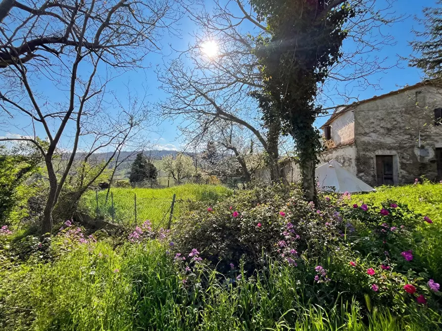 Immagine 5 di Casa indipendente in vendita  in Via Sarsinate 28 a Talamello