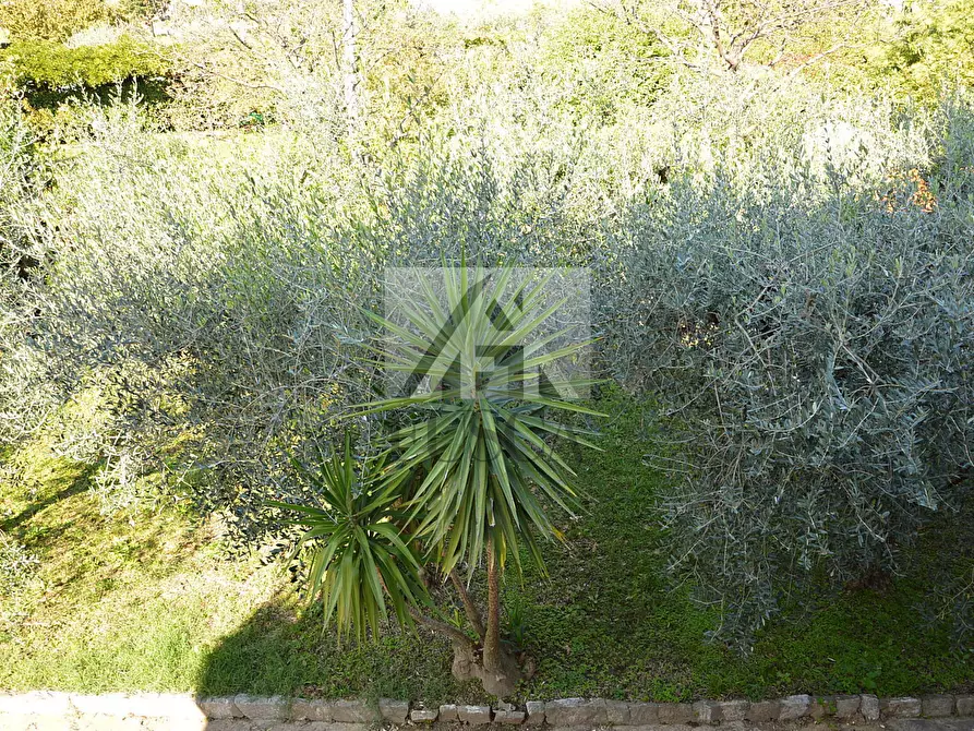 Immagine 28 di Villa in vendita  in Via Montebonelli a Lucca