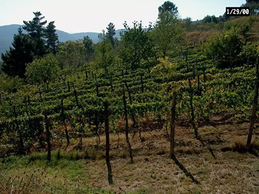 Immagine 49 di Rustico / casale in vendita  in Via Vecchia di Nozzano a Lucca
