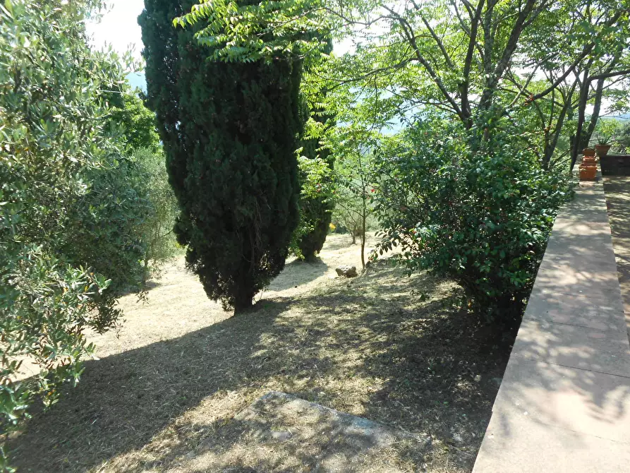 Immagine 20 di Rustico / casale in vendita  in Via per massaciuccoli a San Giuliano Terme