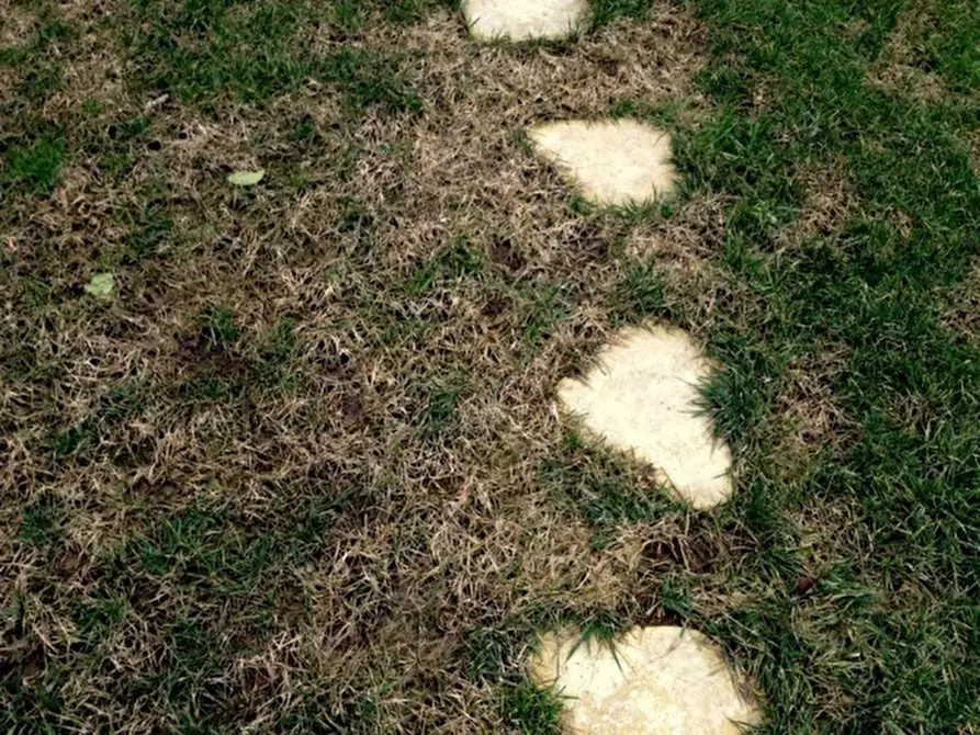 Immagine 5 di Terreno industriale in vendita  in via bientina a Altopascio