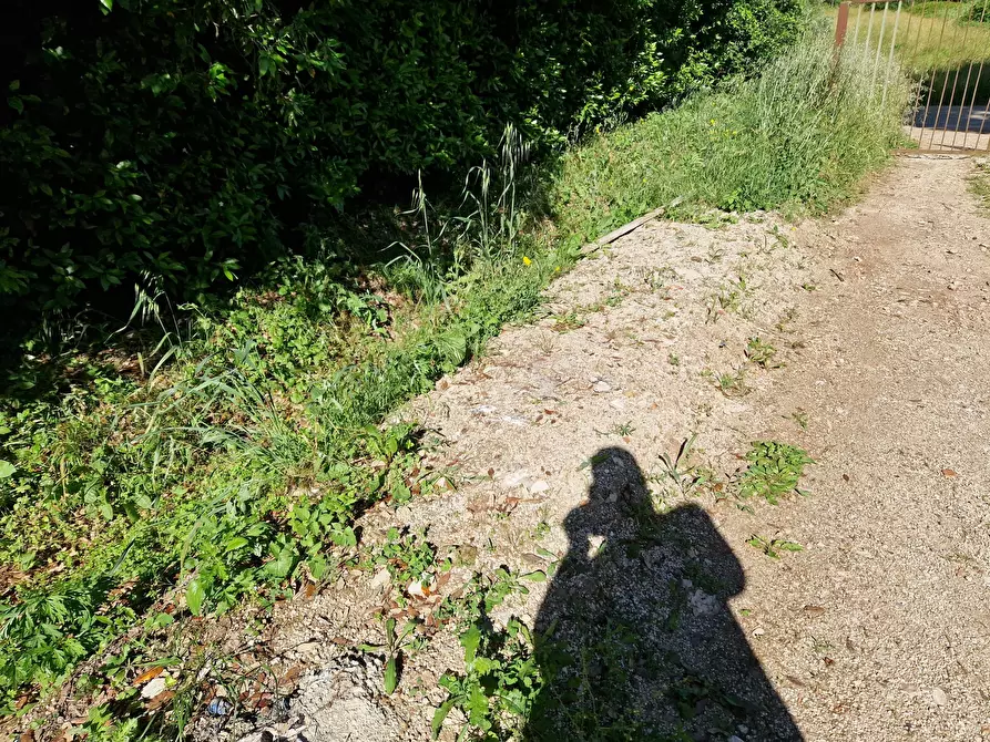 Immagine 14 di Terreno agricolo in vendita  in Via Giovanni Fattori a San Giuliano Terme