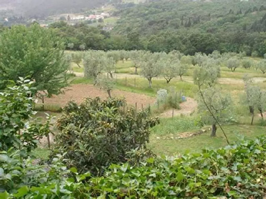 Immagine 4 di Terreno industriale in vendita  in via bientina a Altopascio