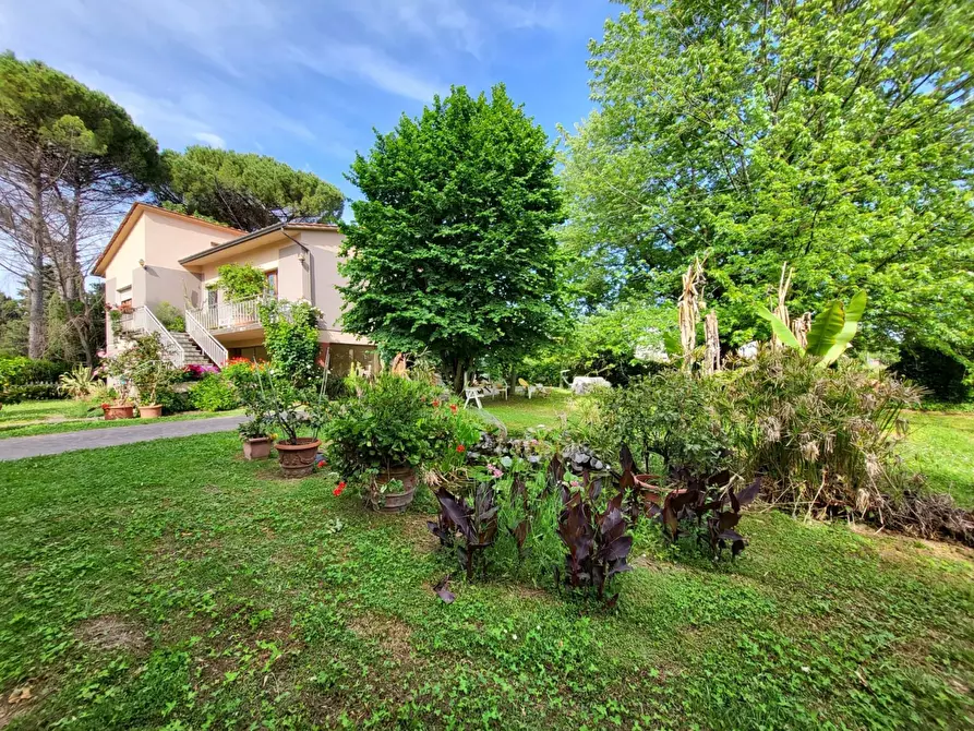 Immagine 3 di Villa in vendita  in Viale Europa a Lucca