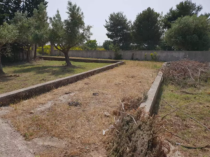 Immagine 1 di Terreno agricolo in vendita  a Siracusa