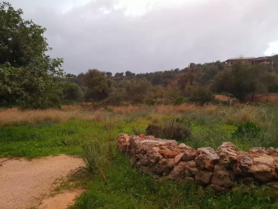 Immagine 4 di Terreno agricolo in vendita  a Siracusa