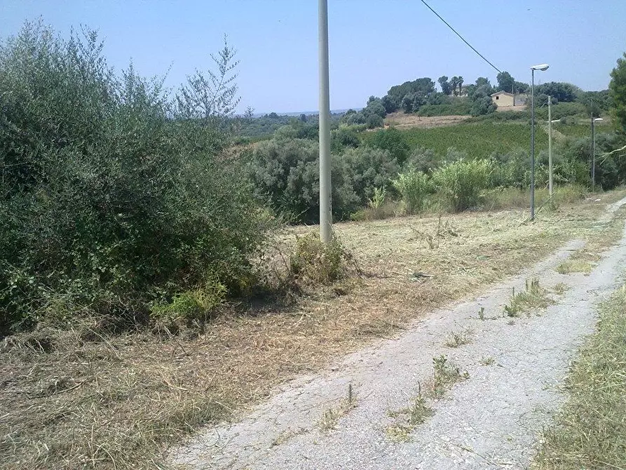 Immagine 1 di Terreno agricolo in vendita  a Siracusa