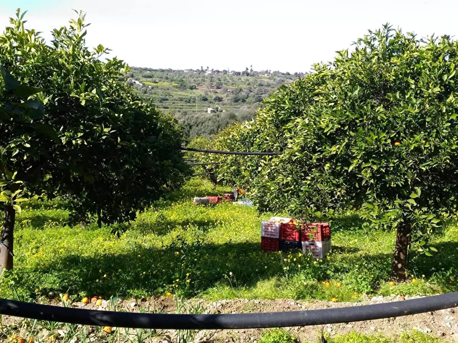 Immagine 14 di Terreno agricolo in vendita  a Siracusa
