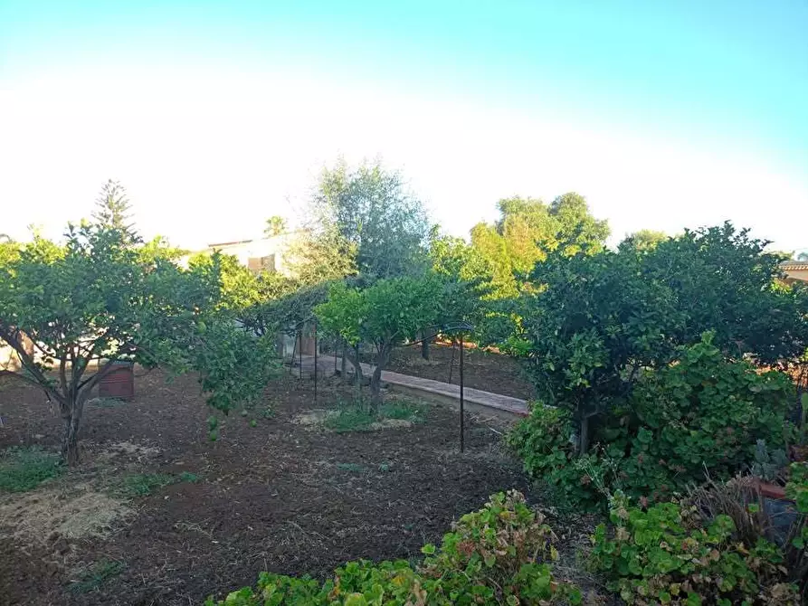 Immagine 6 di Villa in vendita  a Siracusa