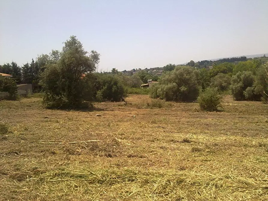 Immagine 3 di Terreno agricolo in vendita  a Siracusa
