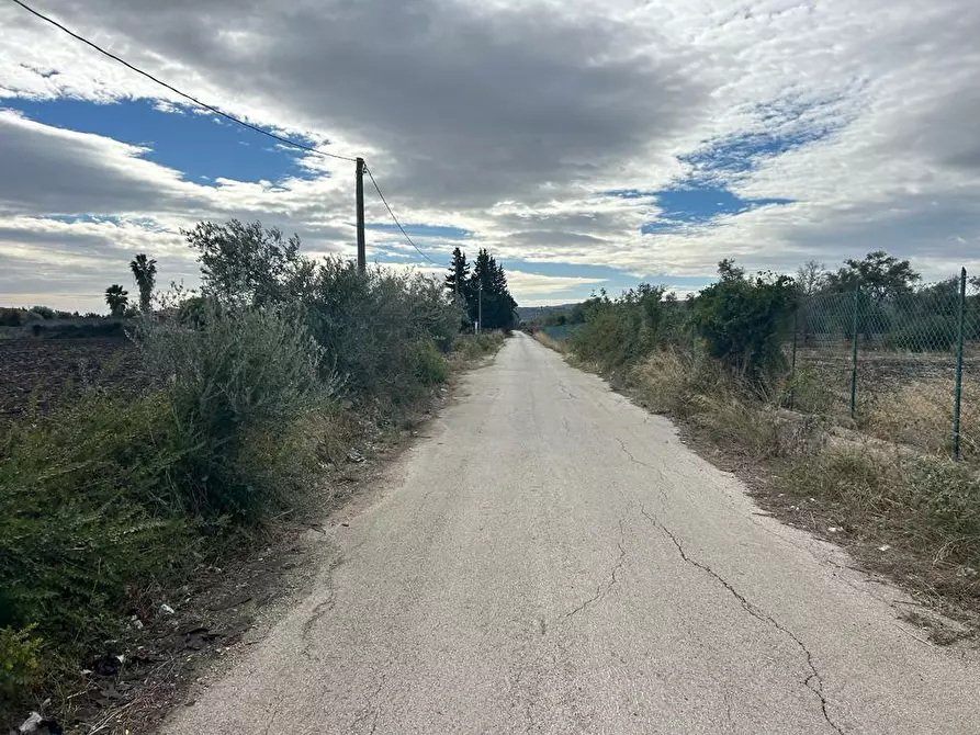 Immagine 5 di Terreno agricolo in vendita  a Siracusa