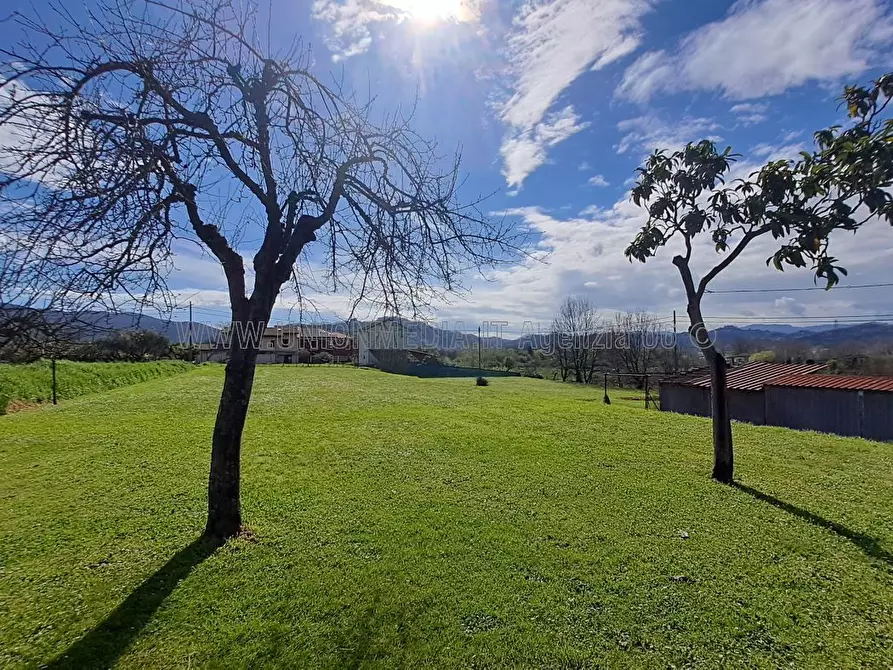 Immagine 6 di Casa indipendente in vendita  a Sarzana