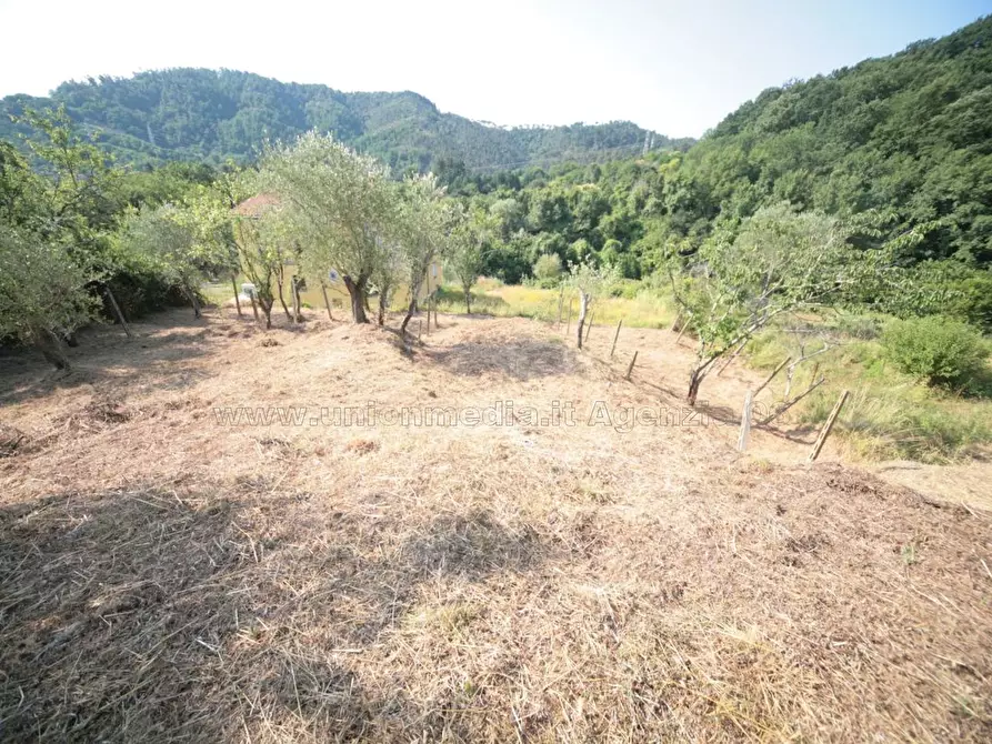 Immagine 6 di Casa indipendente in vendita  a Arcola