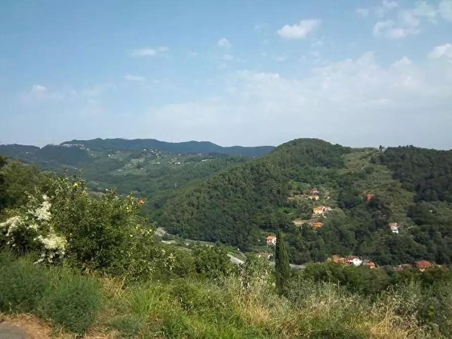 Immagine 15 di Villa in vendita  a Sarzana