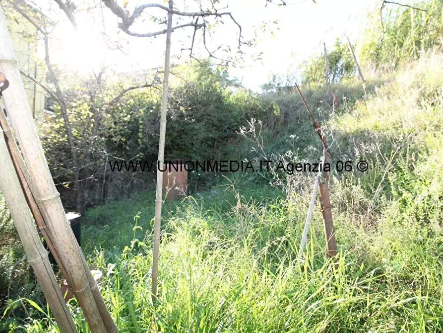 Immagine 17 di Casa semindipendente in vendita  a Arcola