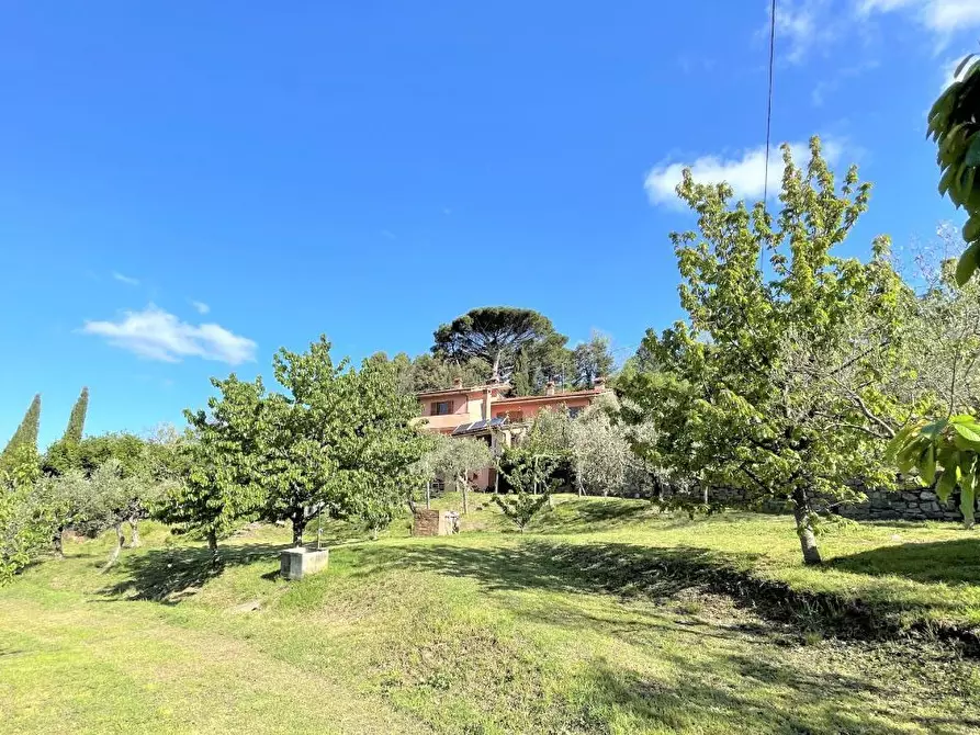 Immagine 17 di Villa in vendita  in via della maestà a Fosdinovo