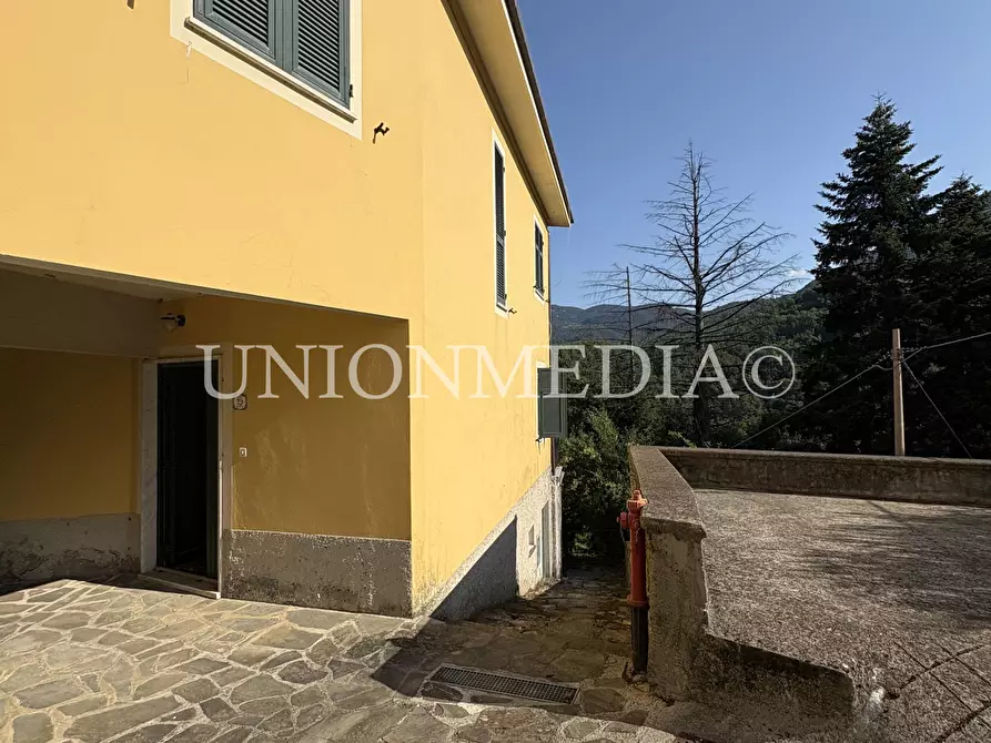 Immagine 11 di Casa semindipendente in vendita  in via della costa 19 a Sesta Godano