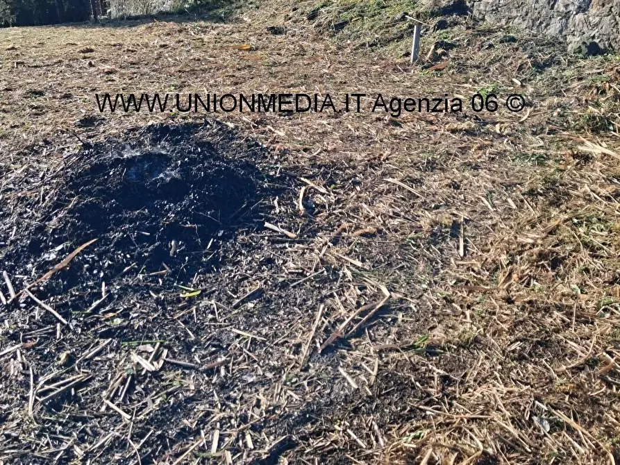 Immagine 18 di Casa semindipendente in vendita  a Arcola