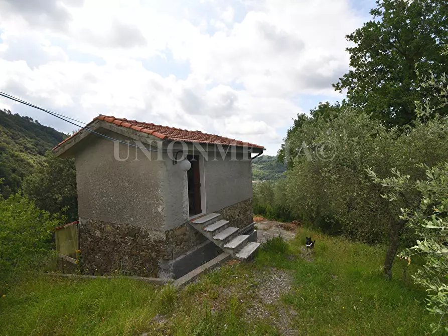 Immagine 3 di Rustico / casale in vendita  in Via Carignano a Fosdinovo