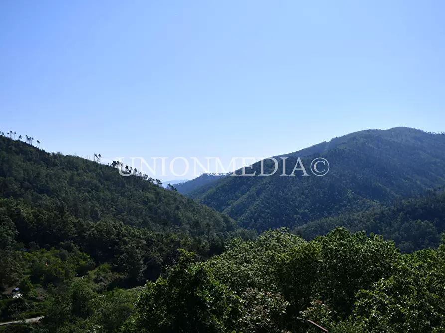 Immagine 2 di Casa semindipendente in vendita  in SP38 1 a Monterosso Al Mare