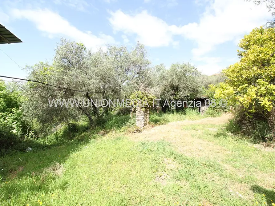 Immagine 34 di Casa indipendente in vendita  a Arcola
