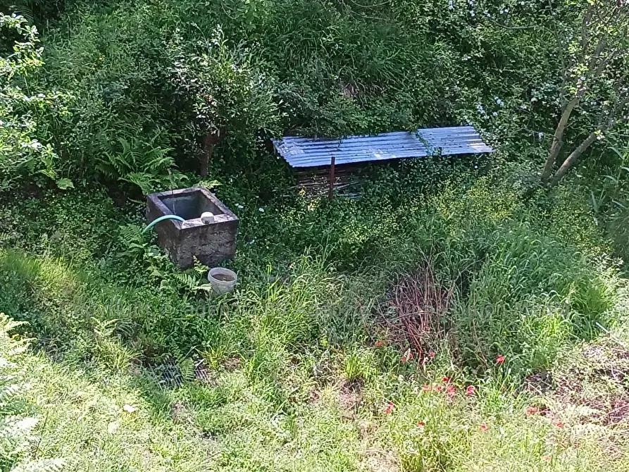 Immagine 8 di Terreno edificabile in vendita  a Arcola
