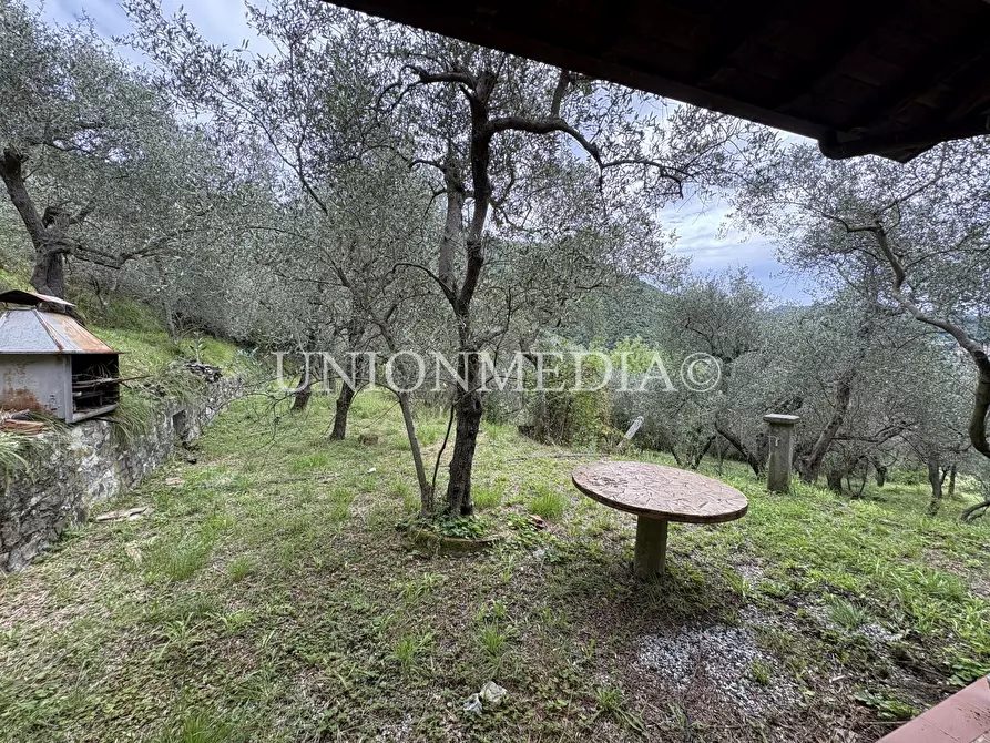 Immagine 5 di Rustico / casale in vendita  in Via Carignano a Fosdinovo