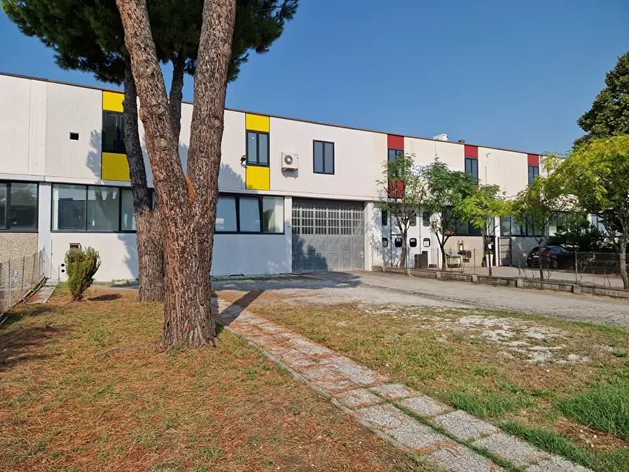 Immagine 20 di Attività artigianale in affitto  in Via della Liberazione a San Mauro Pascoli