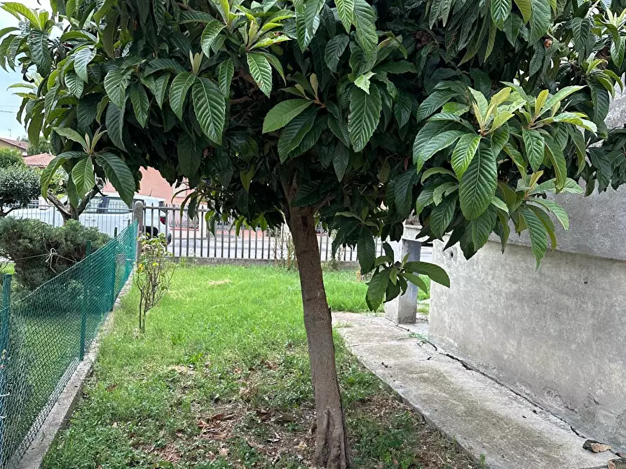 Immagine 6 di Casa indipendente in vendita  in Via Palmiro Togliatti 5 a Savignano Sul Rubicone