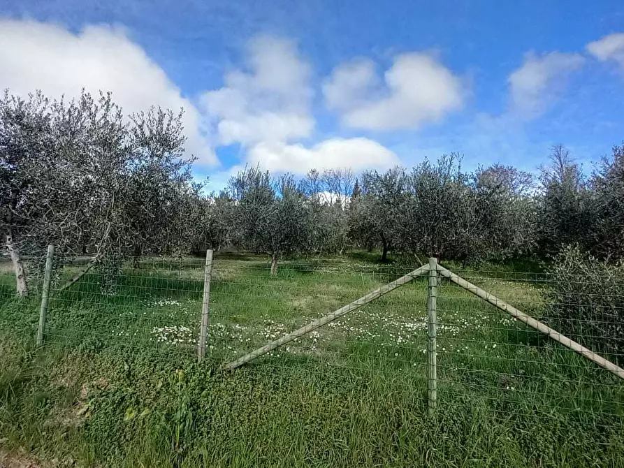 Immagine 39 di Casa indipendente in vendita  in Via Santa Cristina 137A a Rimini
