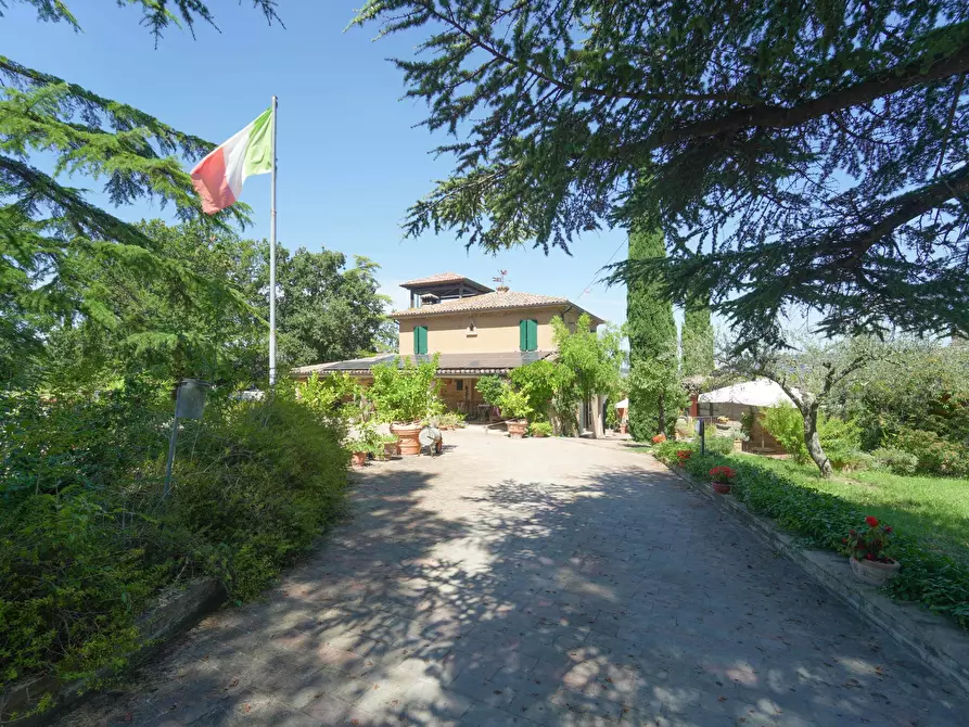 Immagine 19 di Casa indipendente in vendita  in Via Roma 14A a Borghi