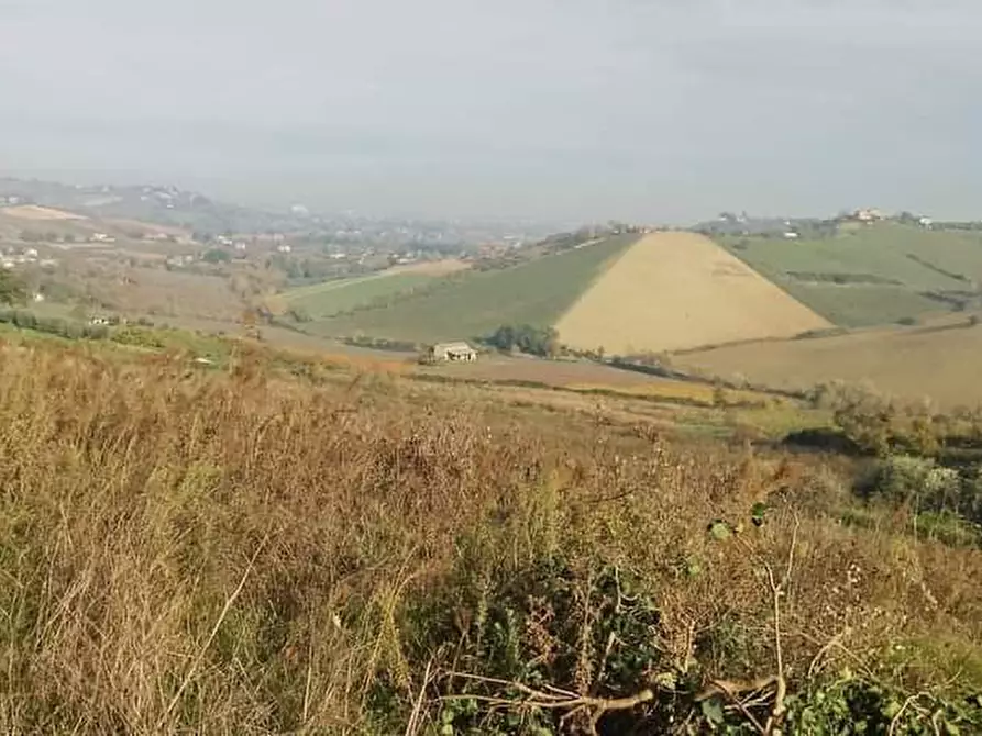 Immagine 1 di Terreno agricolo in vendita  in Castellaro a Borghi