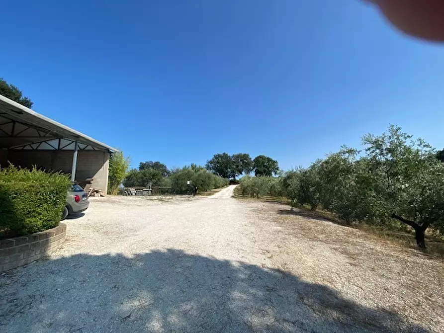 Immagine 44 di Rustico / casale in vendita  in Via Sant'Andrea in Villis a Fano
