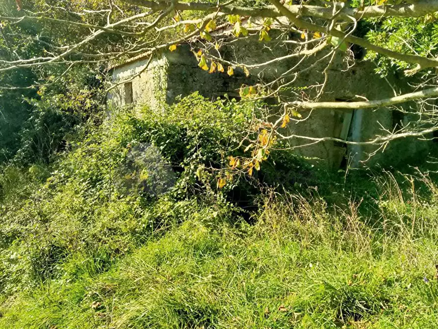 Immagine 8 di Porzione di casa in vendita  in Via Volpara 9 a Sarzana