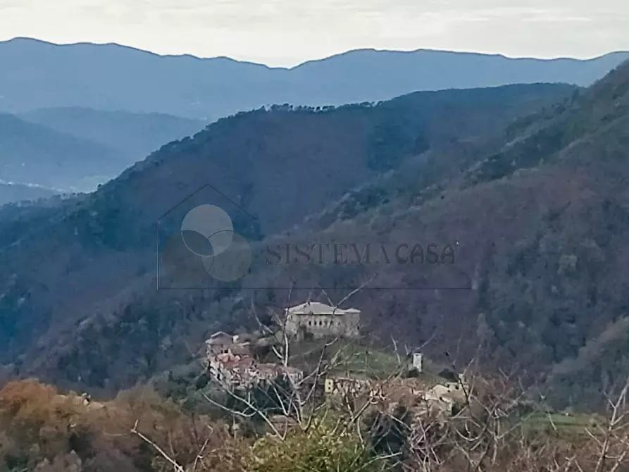 Immagine 31 di Rustico / casale in vendita  in Loc. Le Cassonare snc a Calice Al Cornoviglio