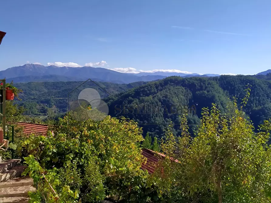 Immagine 25 di Rustico / casale in vendita  in Via del Castello snc a Fivizzano