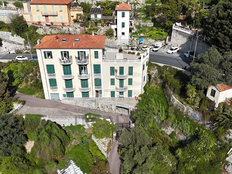 Immagine 7 di Terreno agricolo in vendita  in Corso Mentone 37 a Ventimiglia